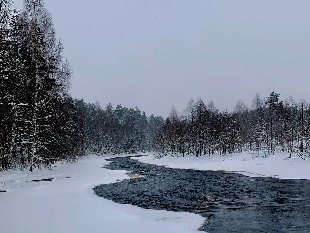 A river running open between snow-covered banks and bare birches at spring thaw